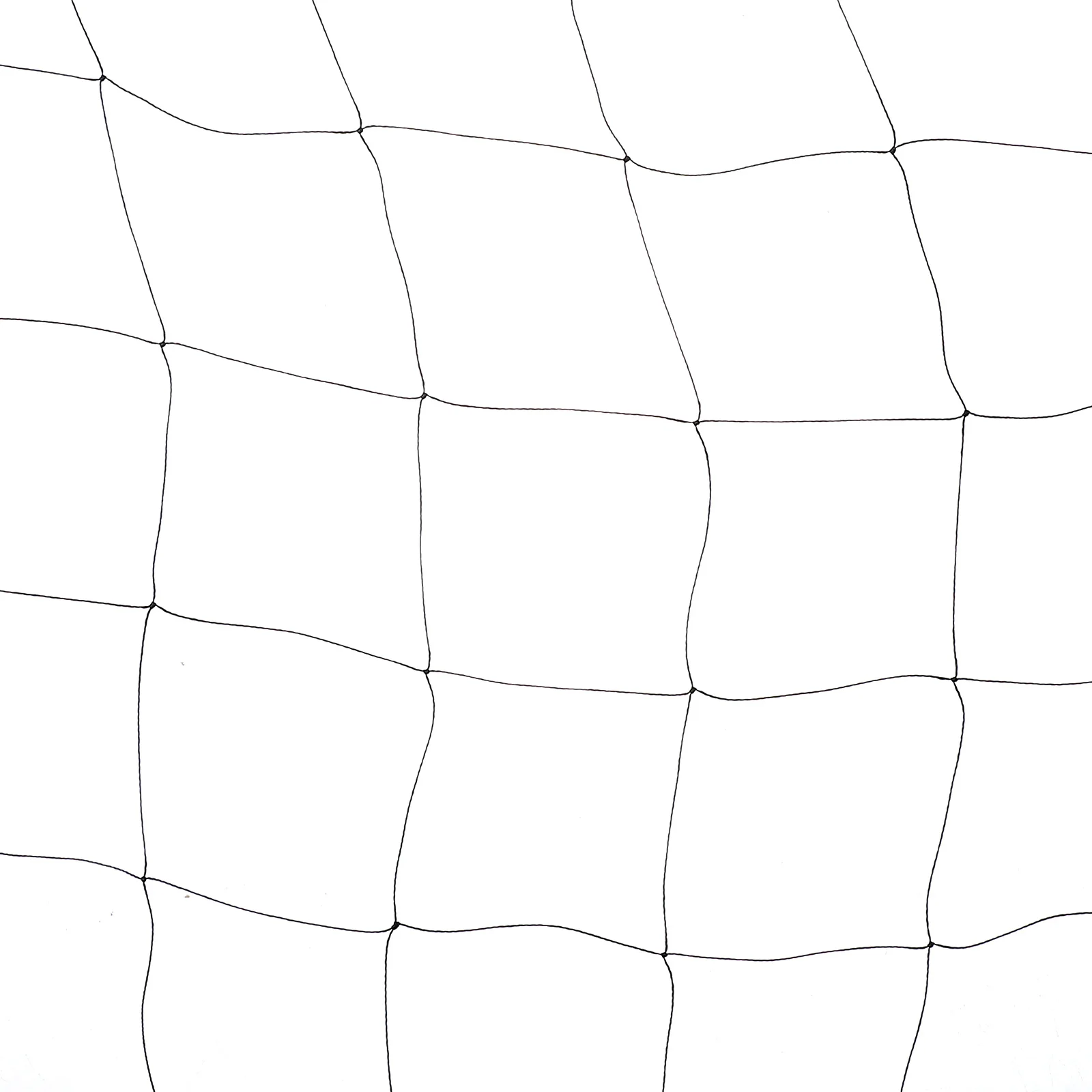 

Nylon Bird Netting 2M X 4M Garden Protection For Fruit Trees Vegetables Flowers Reusable Plant Screen Netting Garden