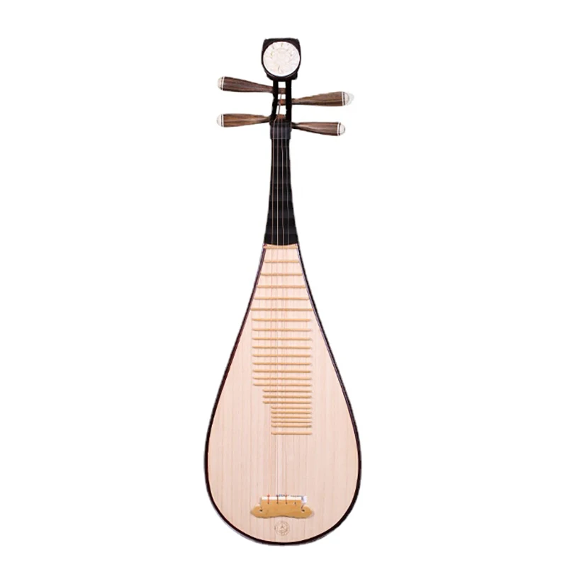 Hardwood Lute Pipa Instruments Aldult Beginner Pipa Traditional Chinese Music Instrument High Quality Lute with Accessories Gift