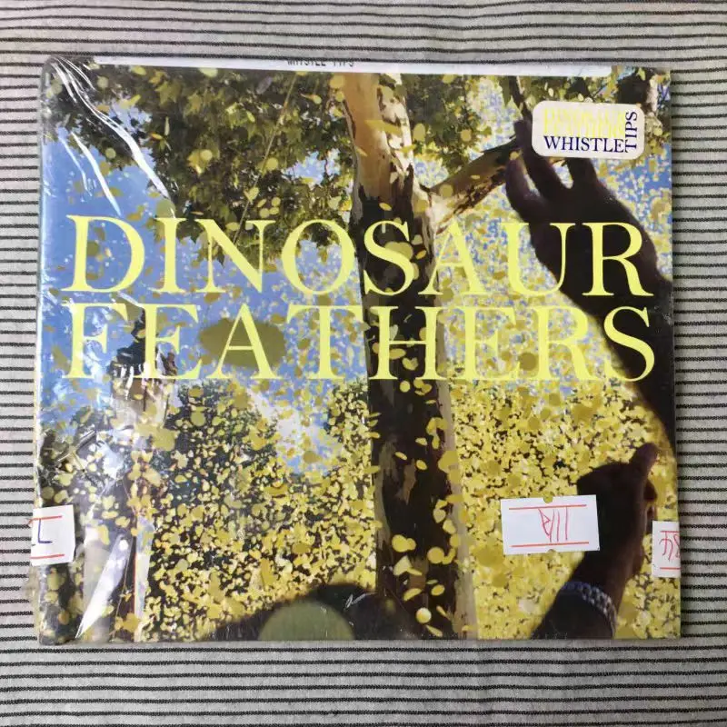 CD Plumas de dinosaurio - Consejos de silbato (2012 CD de Ernest Jenning, 2.o álbum de estudio, Indie Pop/Rock, 11 pistas, 10, abril de 2012