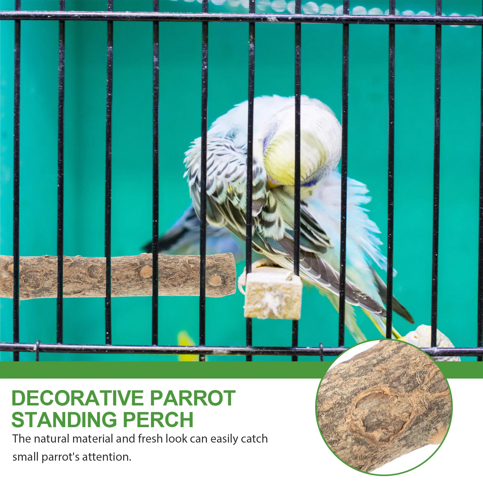 Parrot Standing Stick Wear-resistant Bird Cage Perch Perches for Cages Cockatiel Toys Parakeet Accessories