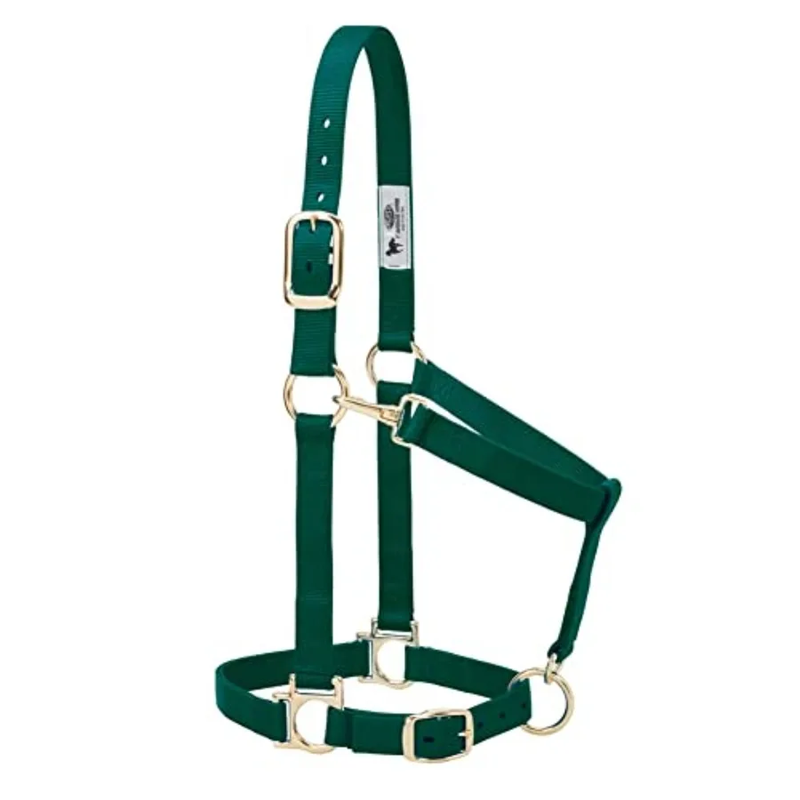 

Weaver Leather Nylon Horse Halter, Padded and Adjustable, Chin and Throat Snap Hook Halters for Horses, Brass Plated Halters fo