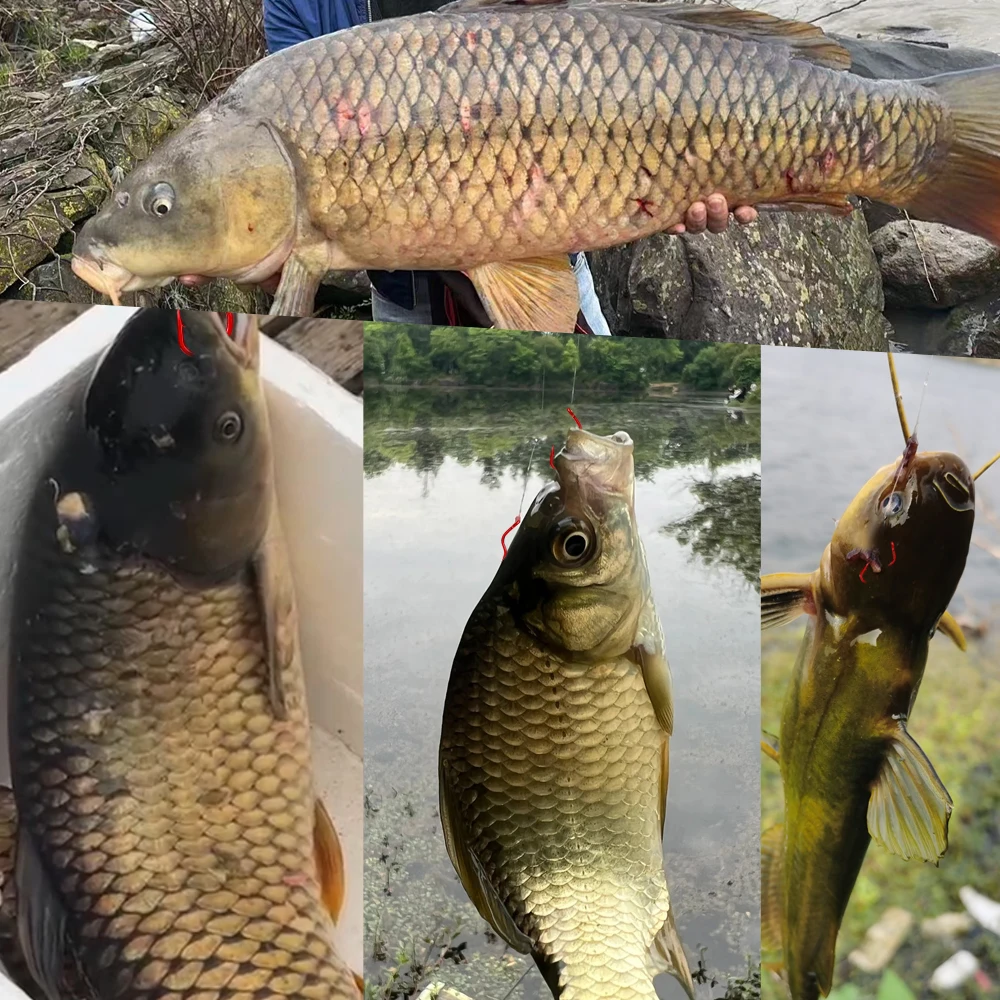 New Invention High Carbon Steel Fishing Hook Sharp Barbed Automatic Flip 12Pcs/Pack Fishhook for Carp Fishing Accessories