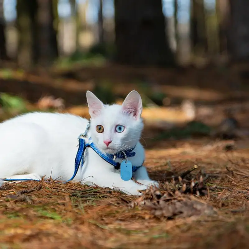 リモコン付きワイヤレスキーファインダー,キーロケーター,ペットトラッカー,追跡デバイス