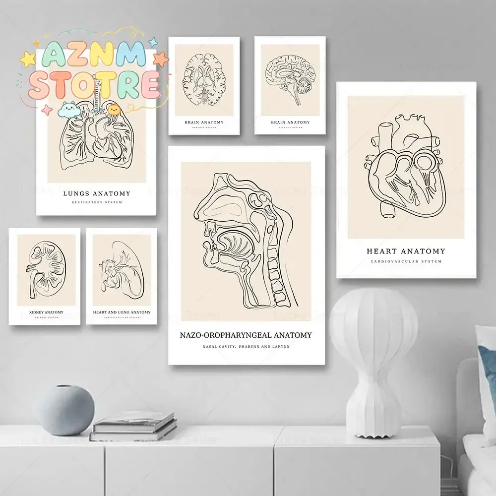 (2D canvas painting)  Human Heart Brain Uterus Anatomy Posters Line Art Print Clinic Wall Art Canvas Painting Medicine Pictur