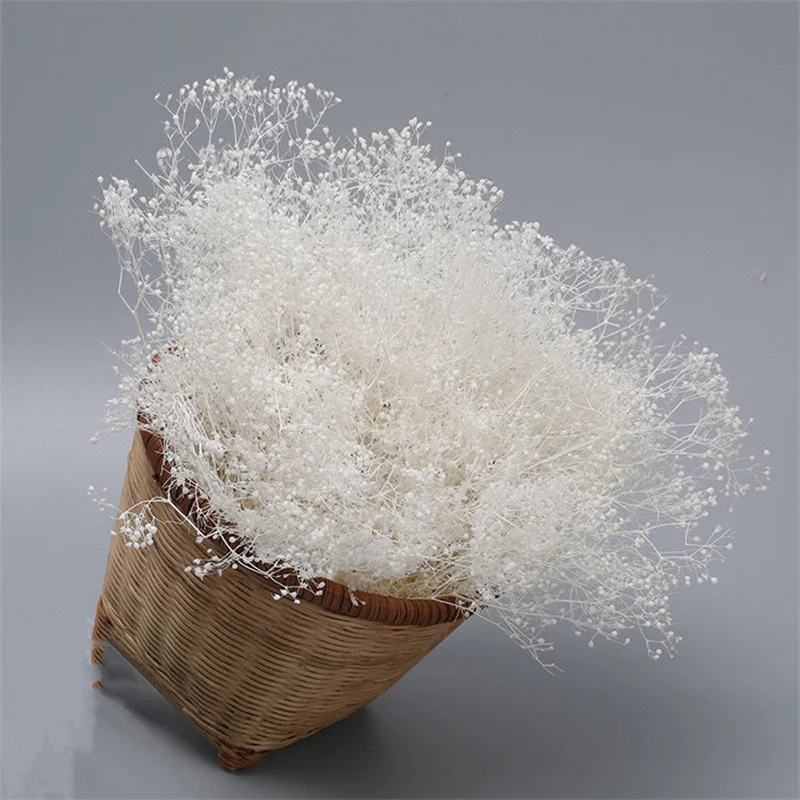 Natural Fresh Dried Preserved Flowers Gypsophila Paniculata Baby's Breath Flower Bouquets Gift For Home Decor Wedding Decoration