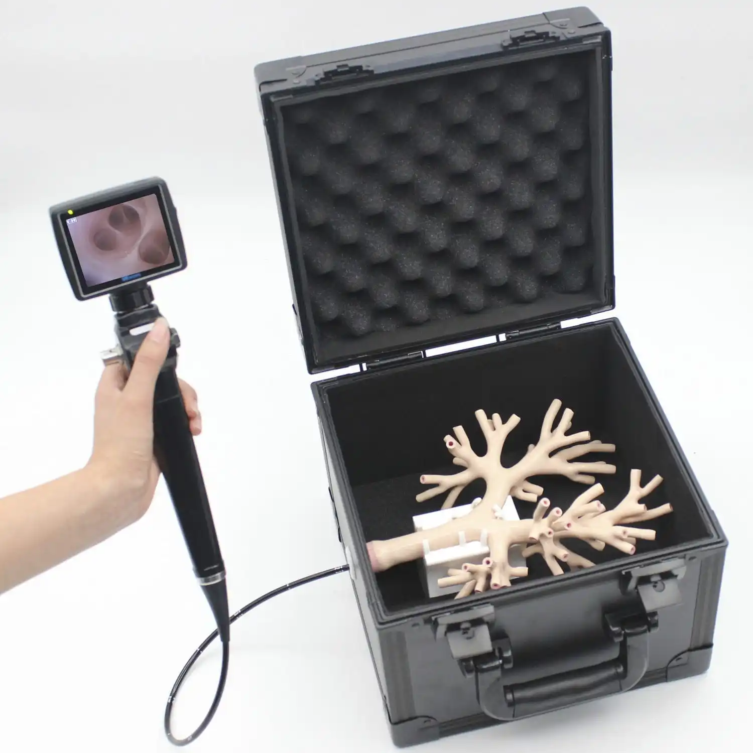 Bronchoscope training model Main AirWay Bronchi operation Respiratory endoscope intervention training