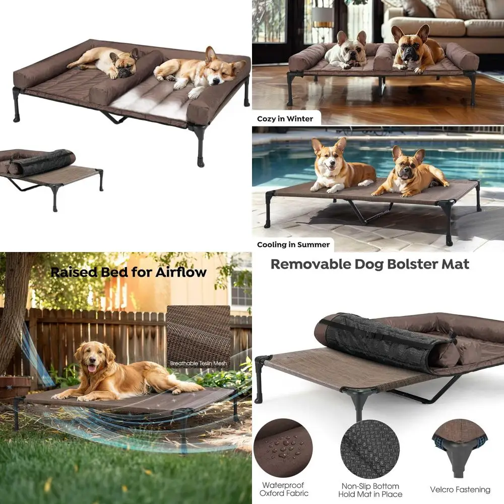 

Приподнятая двуспальная кровать для собак со съемными подушками, водонепроницаемая подставка, дышащая сетка, нескользящее основание, коричневый CWC2331D