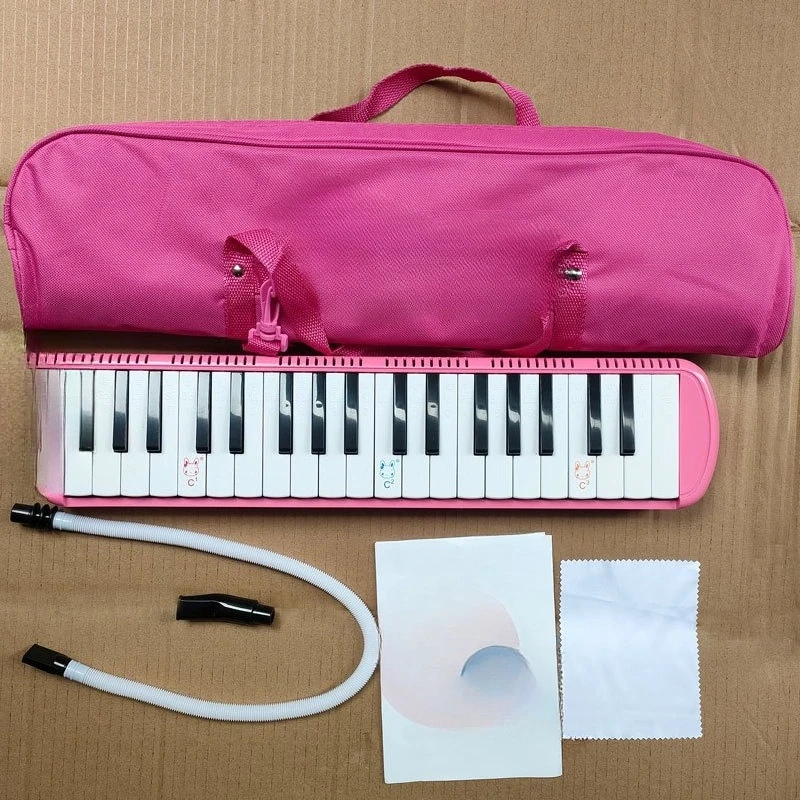 

37-Key harmonica, playing an instrument in elementary school children's introductory classroom for beginners