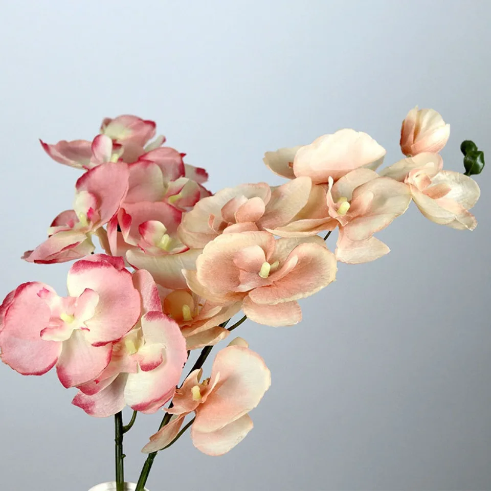 8 Köpfe große künstliche Seide Zweig Orchidee Phalaenopsis schwarz Burgund Hochzeit Home Decor Blumen Topf Orchidee Großhandel – Detail 2
