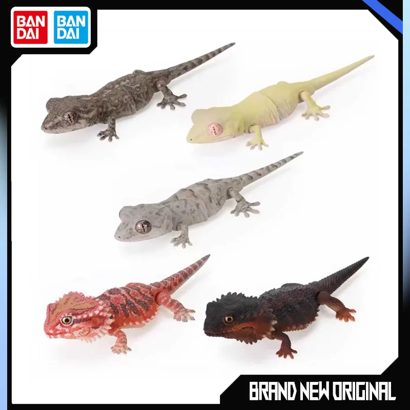 BANDAI Biological Encyclopedia Figures Model American lizard house lizard Gashapon Original toys Desktop ornament