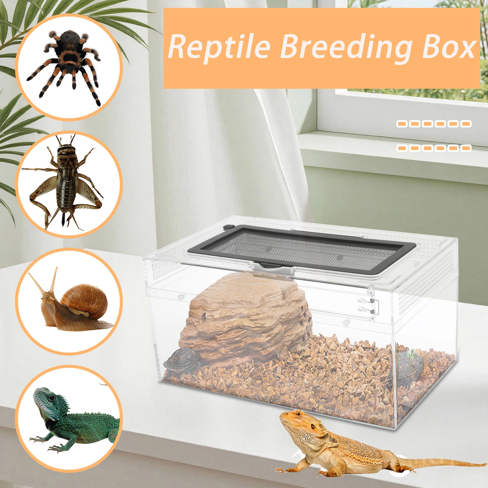 

Прозрачная коробка для разведения рептилий, террариум для рептилий, дышащий портативный транспортный контейнер для ящерицы, геккона, змеиных черепах, паука