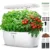Countertop hydroponics growing system Premium 12-Pod Herb Germination Kit White LED Grow Light