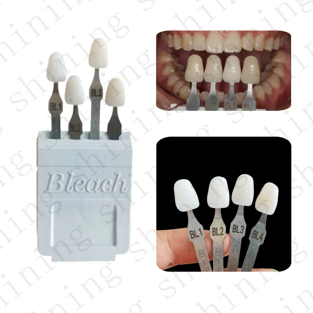 Dental Bleached Shade Guide 4Colors Bleach Chart Teeth Whitening Based Vita A-D BL1/2/3/4