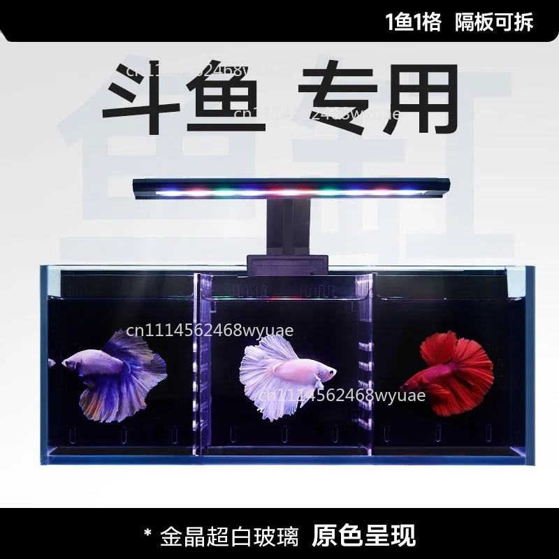 Back Filter Betta Ultra-White Tank Glass Multi-Grid Isolation Water-Free Living Room Small Ecological Thai Betta Tank