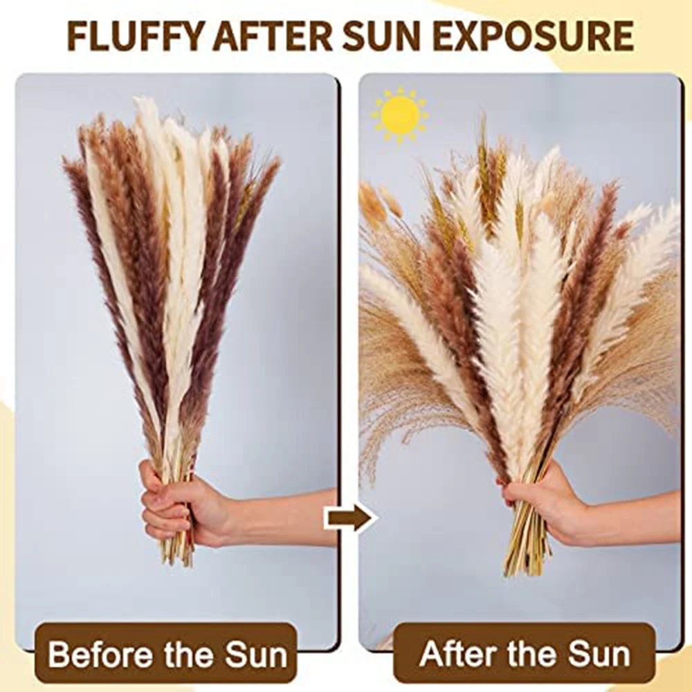 Pampas Grass Dried Pampas Reeds Natural Brown and White Rabbit Reeds for Bohemian Home Decor HOT