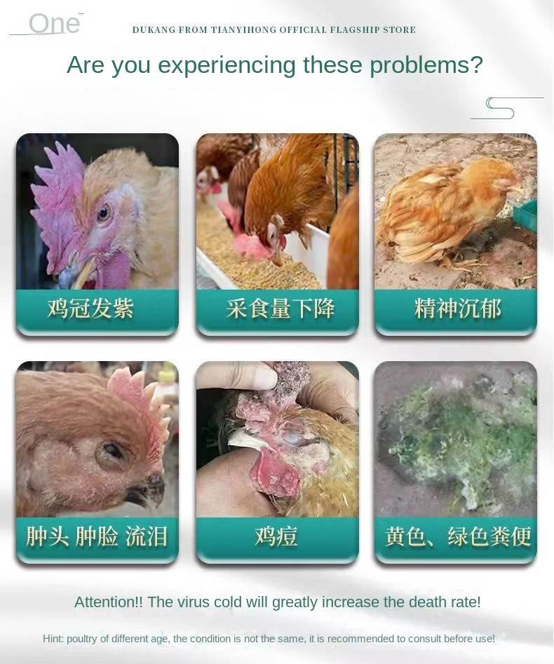 Chicken duck poultry with pigeon quail swollen head face distention crooked neck appetite loss yellow green stool taurine