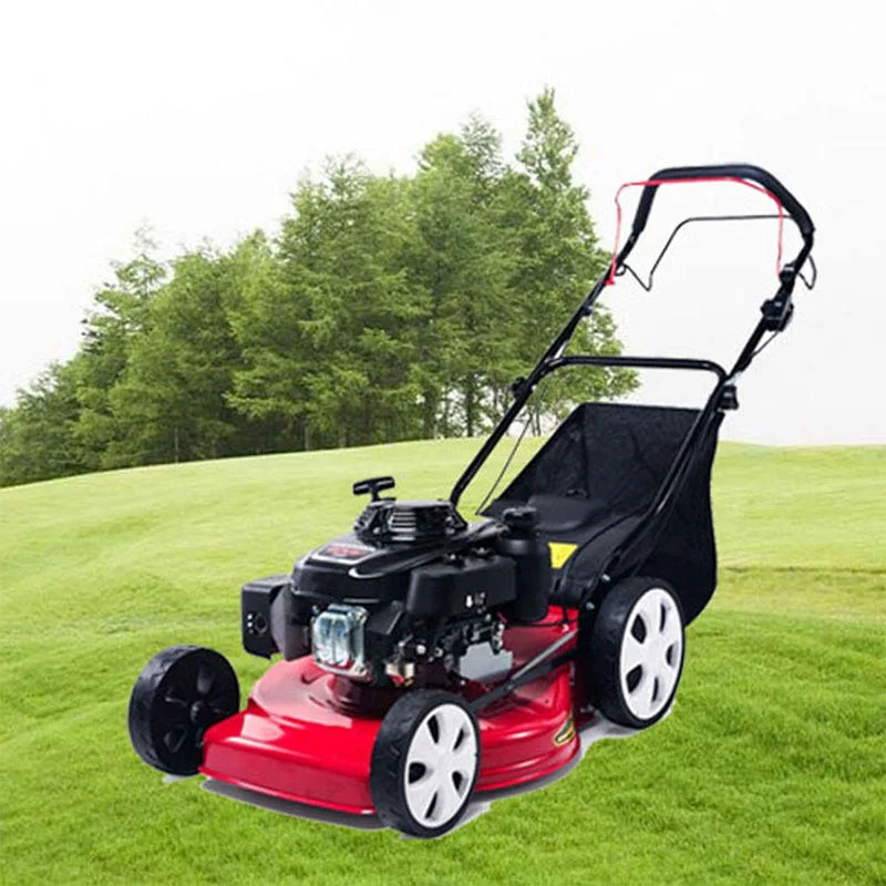 Image 4: Tondeuse à gazon électrique autotractée 4 temps avec roues pour la ferme