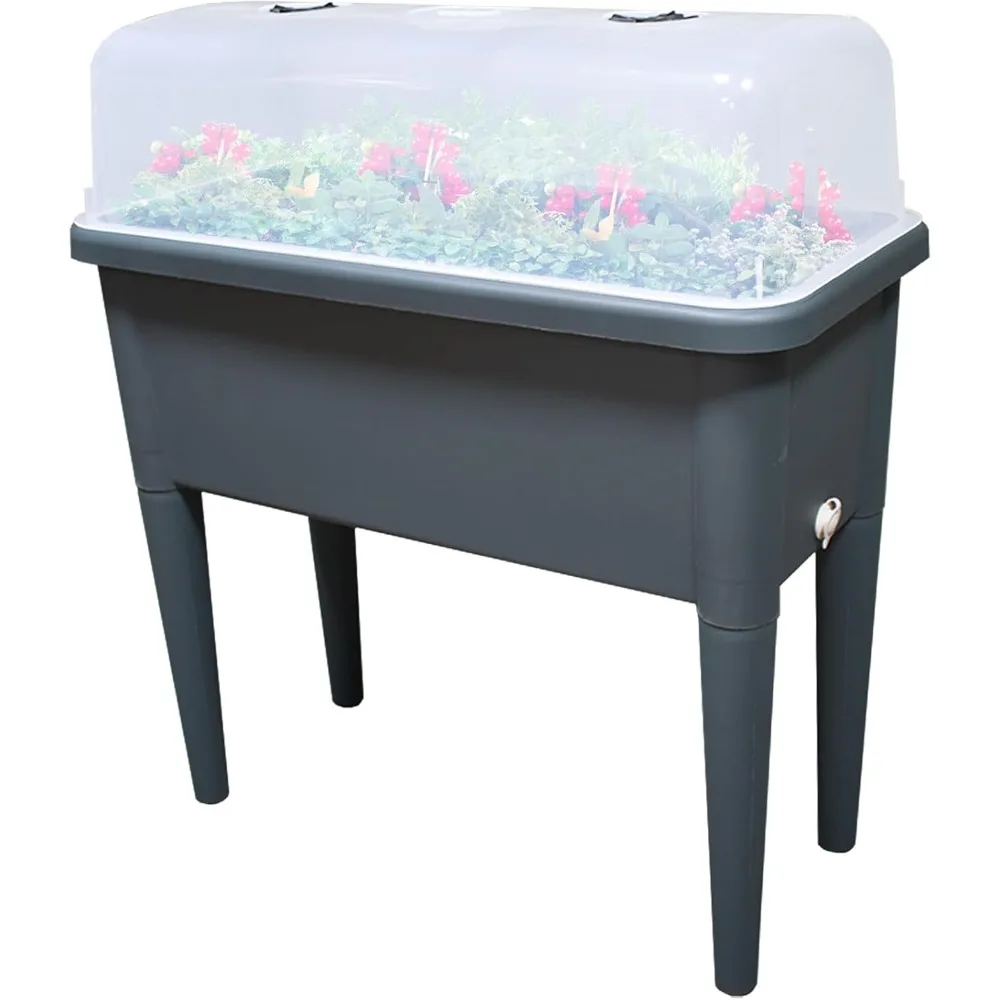 

FENCETECH 20.8 Gallon Self Watering Raised Garden Bed with Ventilation Transparent Lid Greenhouse, 30 x 25.6 x 15 in Plastic Pla