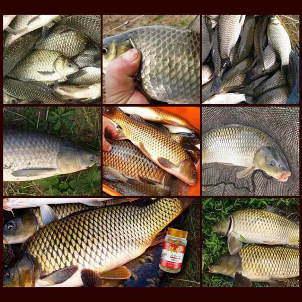 Bait Pellets High P…