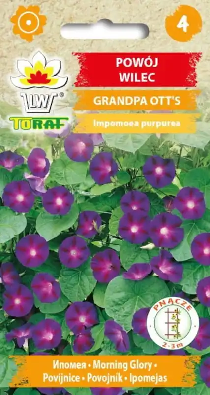 Graines de fleurs Bindweed Donk Grandpa Ott 1G pour fleurs de terrasse de maison et de jardin