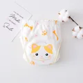 Little Yellow Cat