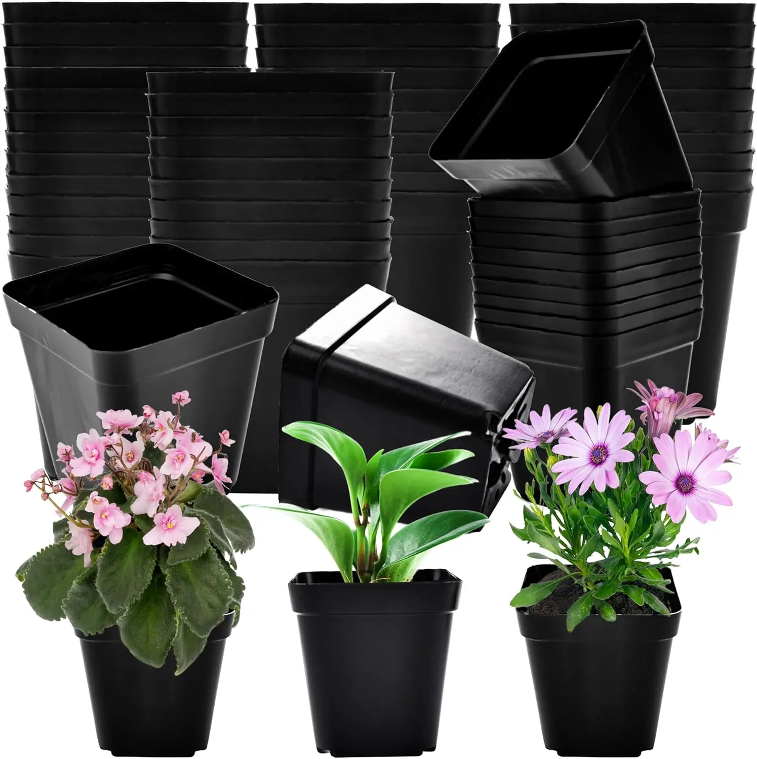 

240 Packs Square Nursery Pots 2.7 Inch Plastic Reusable Seed Starter Pots with Drainage Holes for Flowers,Vegetables,Gar