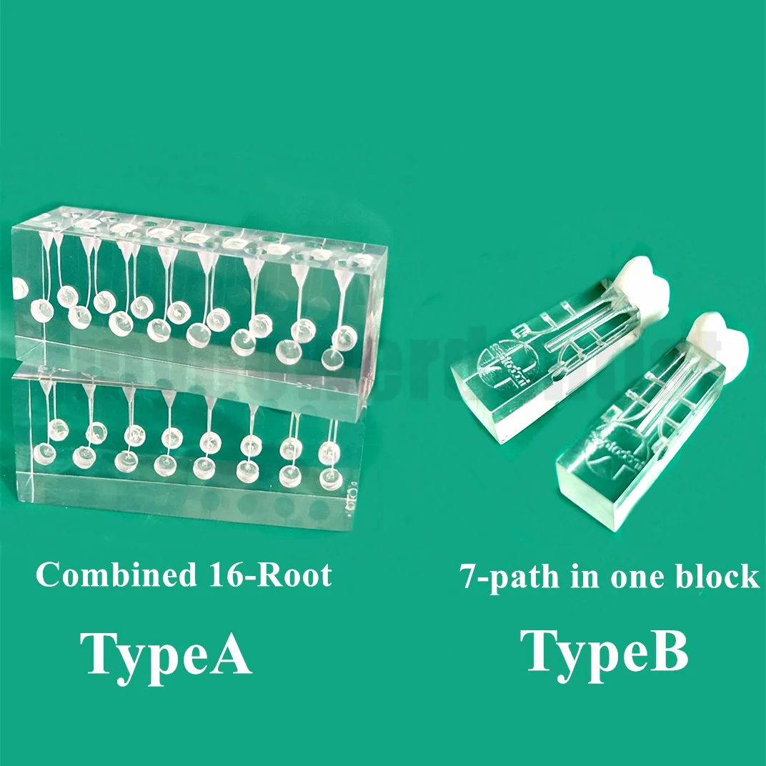 

Dental RCT Endo Files Molar Practise Block With Crown Combined Root Canal 7-Path