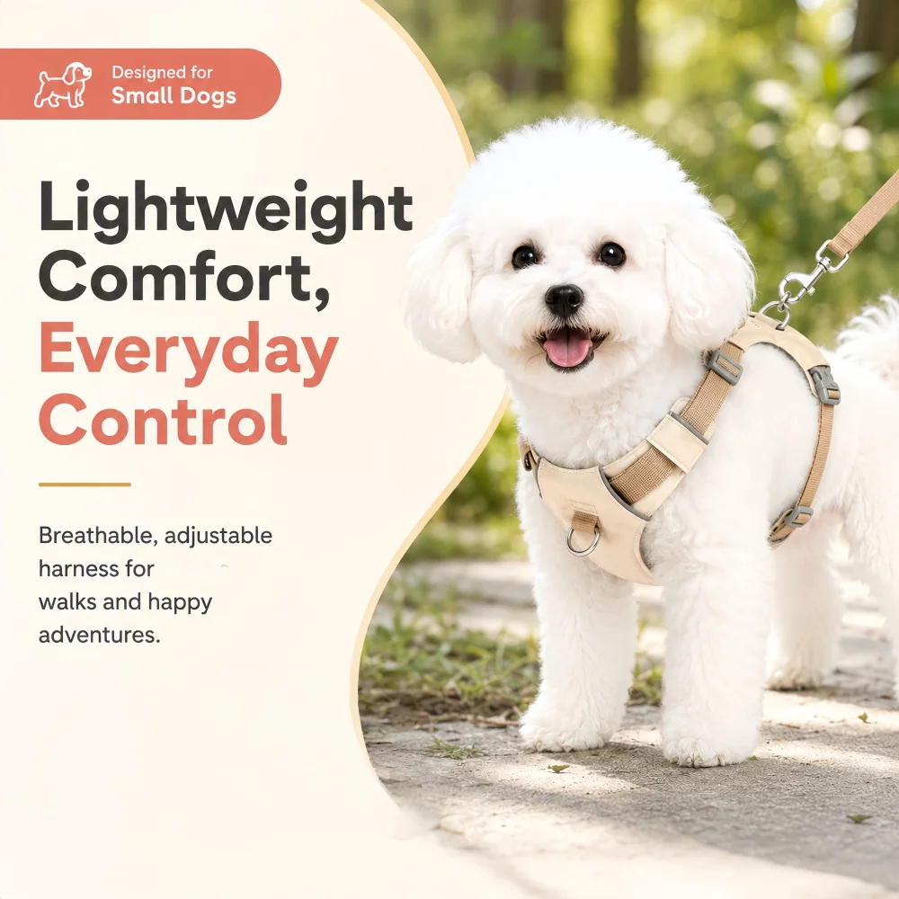 Two-piece Reflective Decorative Breathable Mesh Dog Walking Suit Designed for Small and Medium-sized Puppies