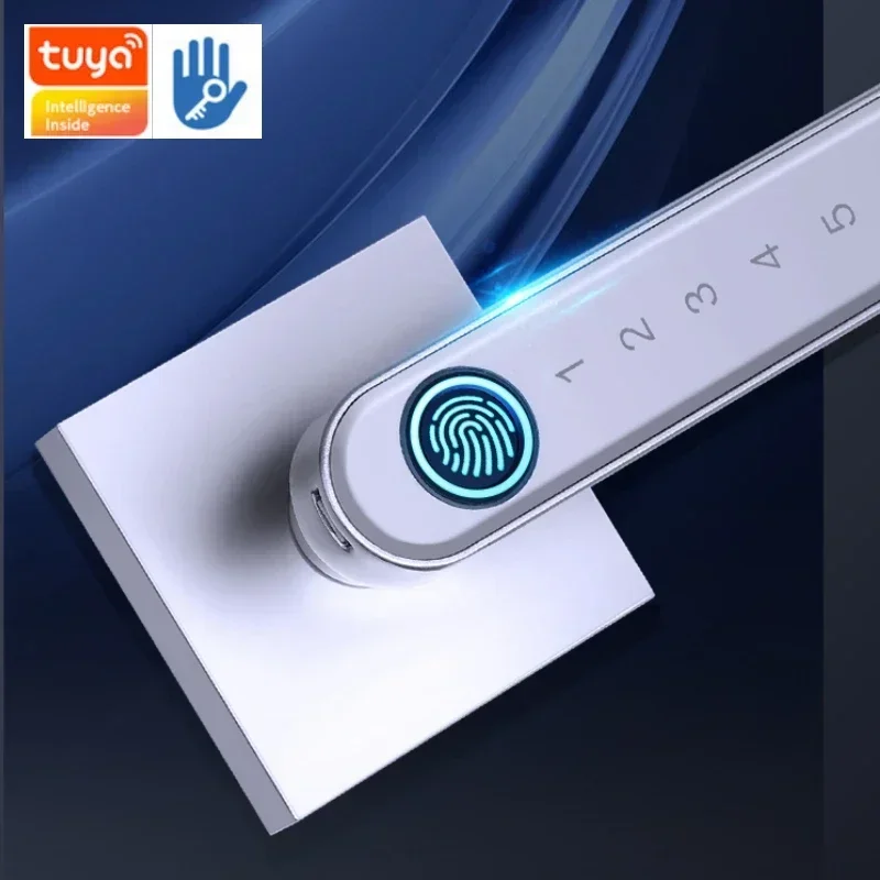 Tuya/TTlock App Smart Türschloss Fingerabdruckschlösser Biometrischer Fingerabdruck Passwort APP Keyless Entry Griffschloss