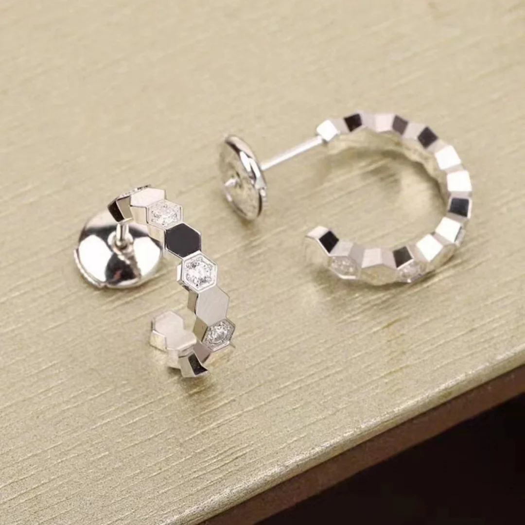 

2025 Sophisticated 925 Silver Classic Trendy High Luxury Versatile Earrings for Women High - polished Finish for Smooth Surface​