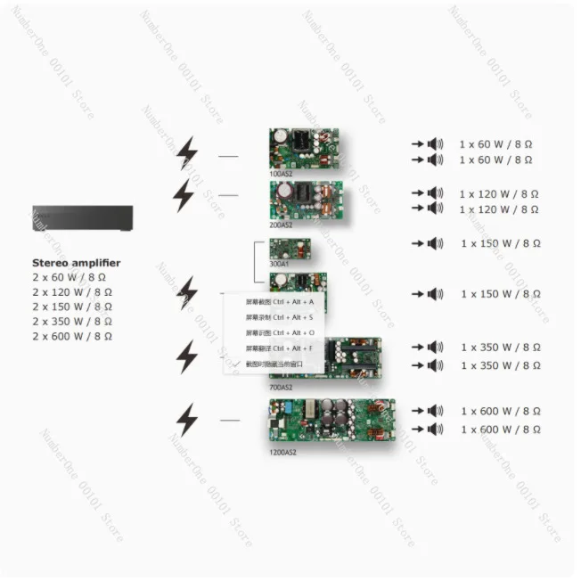 ICEpower Power Amplifier Module 300AS1, Factory Cleared