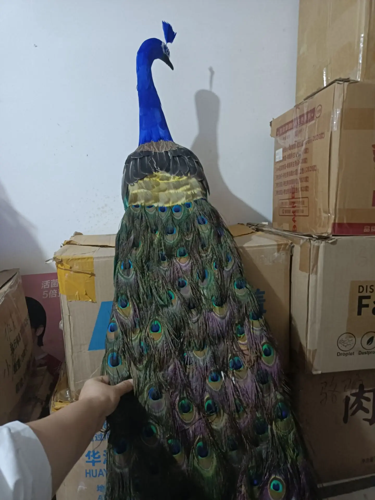 152cm Big Beautiful Foam Peacock Model with Long Tail Garden Decoration Home Decorative Outdoor Yard Art Gift