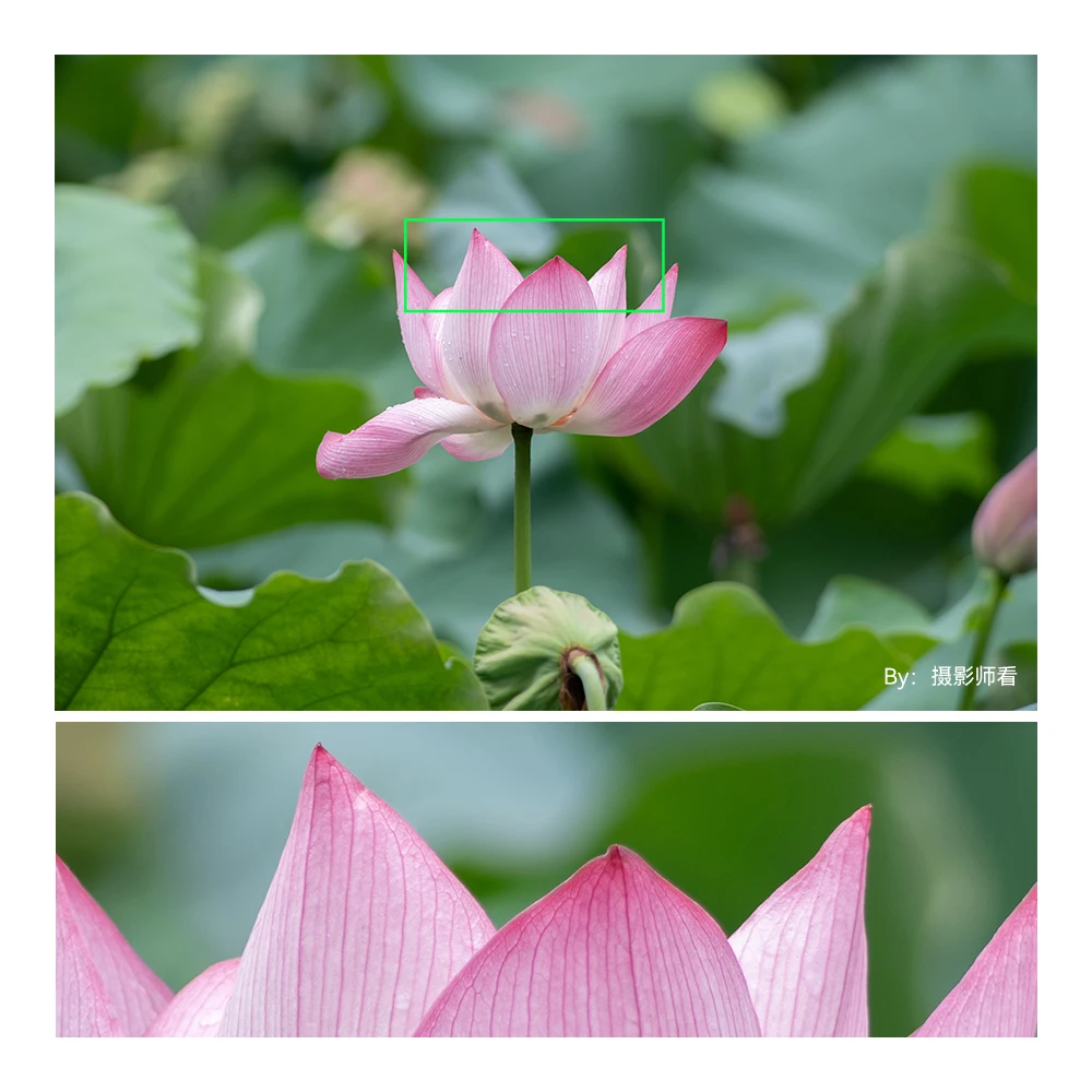 TTArtisan 500 مللي متر F6.3 عدسة المقربة إطار كامل فتحة كبيرة التركيز اليدوي لين لسوني E جبل Niokon Z كانون RF L-Mount كاميرا