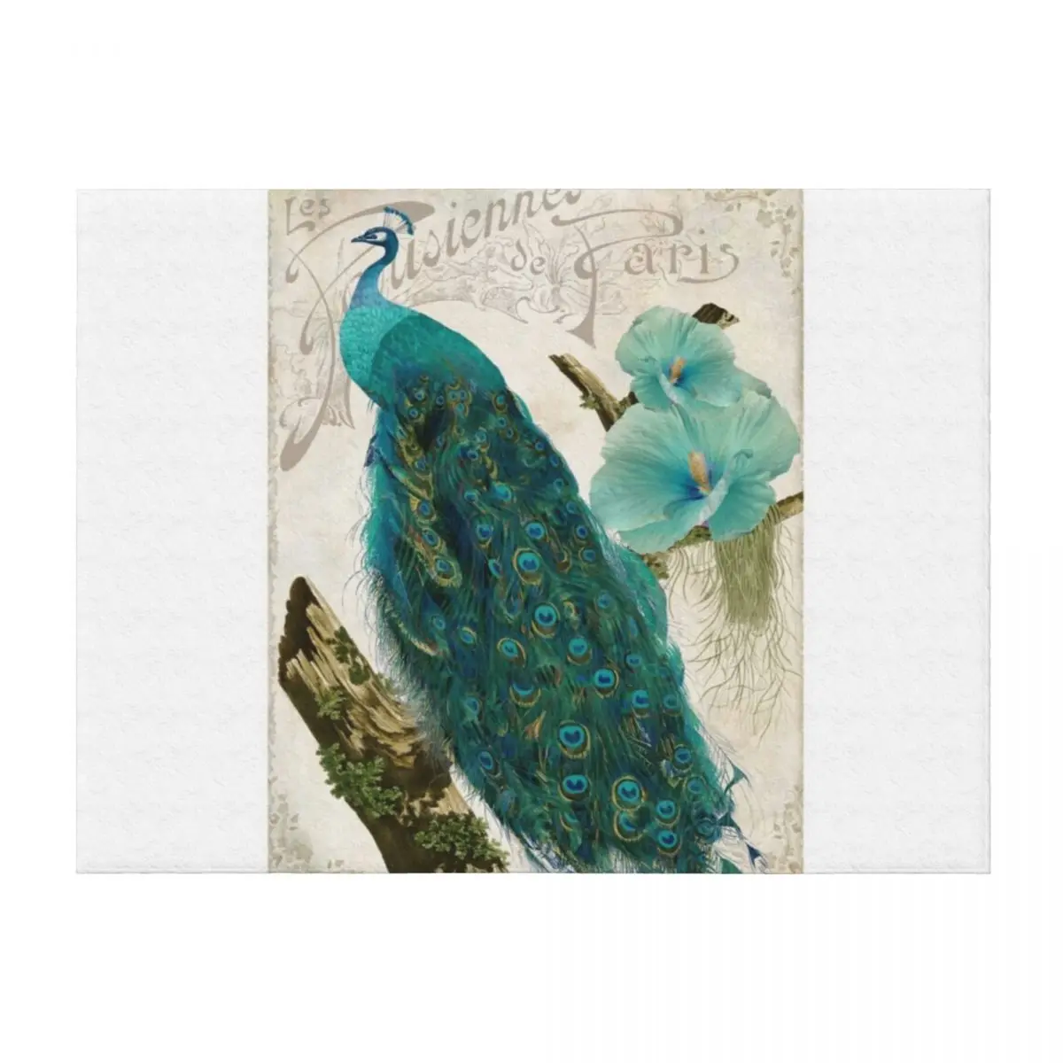 

Les Paons I Throw Blanket Winter beds Thermal Luxury St Softest Blankets