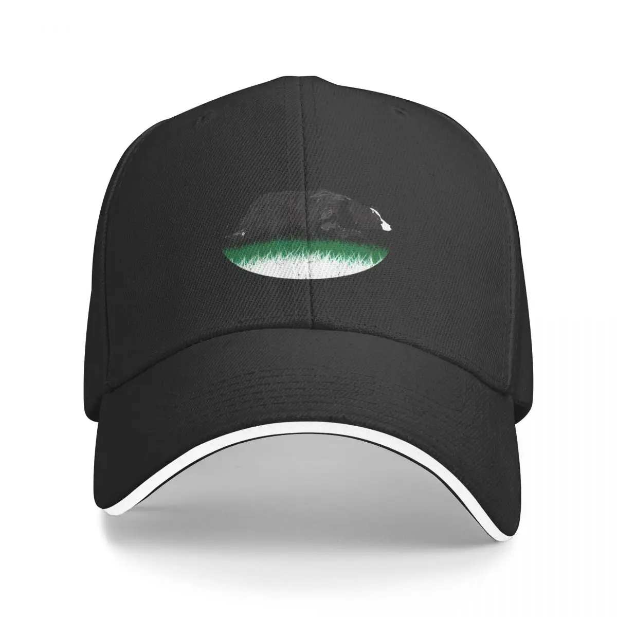 

Border Collie Baseball Cap Trucker Cap Luxury Cap Military Tactical Men Luxury Brand Women's