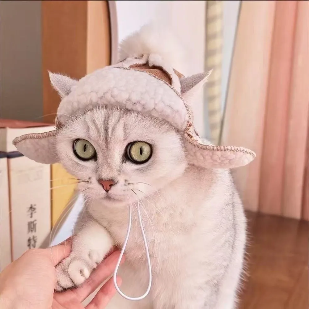 

Korean Style Warm Cat Flying Hat Lamb Fur with Ear Hole Windproof Dog Cap Windproof Winter Dog Hat Winter Season