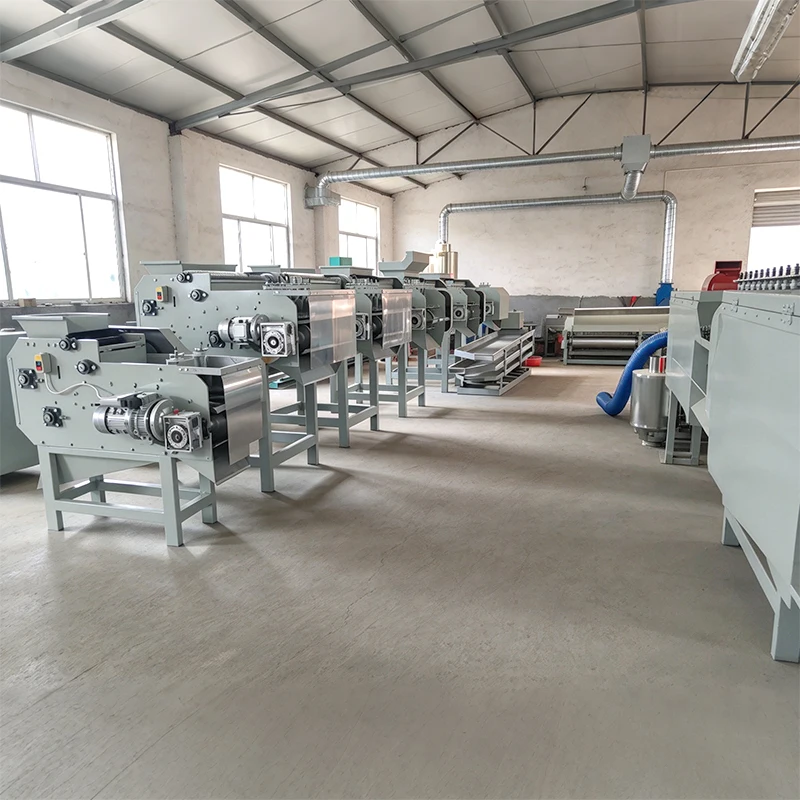 Heavy Duty Chain Drive Cashew Nut Shelling Machine Powerful Motor Robust Structure Industrial Nut Cracker Customized