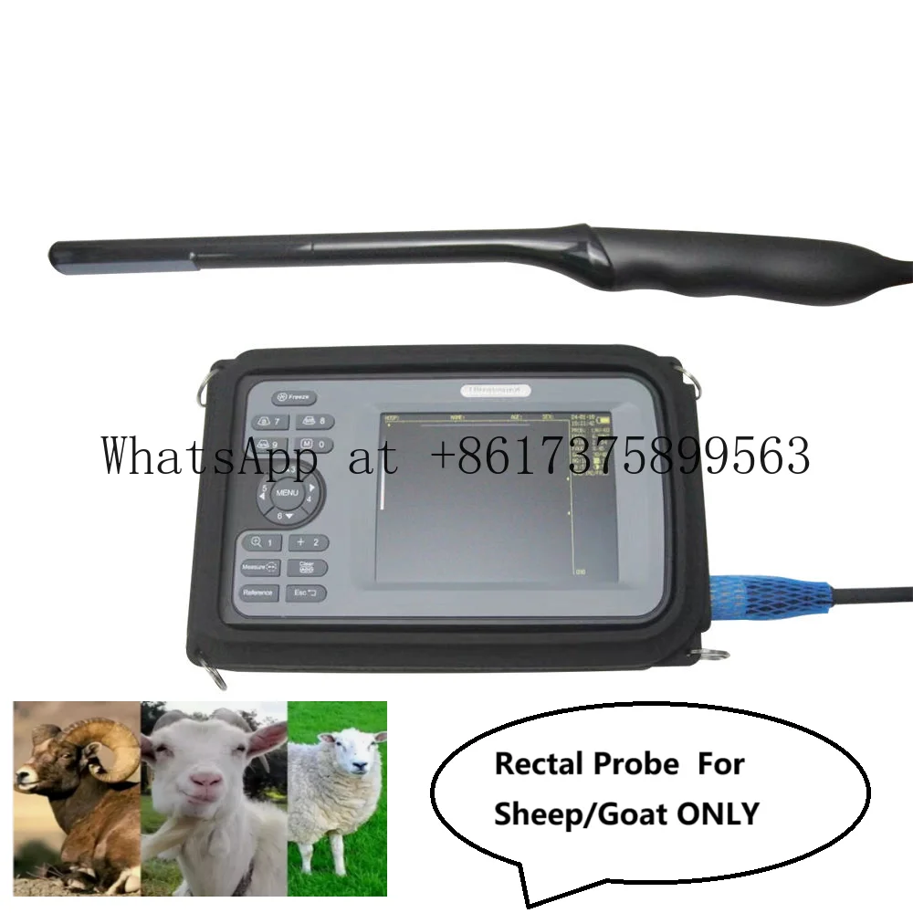 Portable Ultr asound Machine Animal Soundscape Pregn ancy Test USG Goat Sheep Rectal Probe Veterinary Ul trasound
