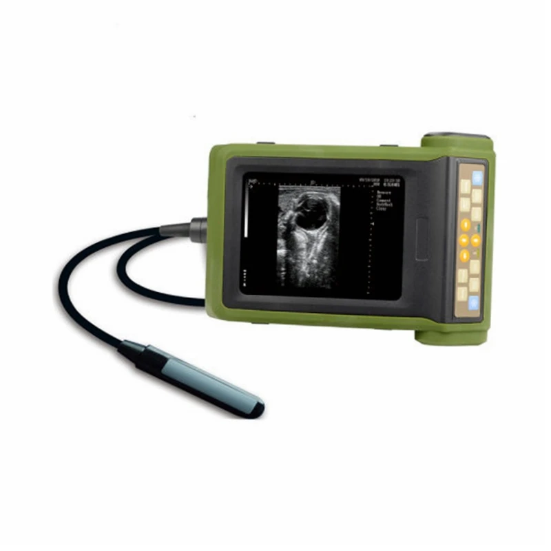 RKU10 Kaixin cow vet veterinary equine portable veterinary ultrasound for bovine equine cattle pig goat animal  scanner