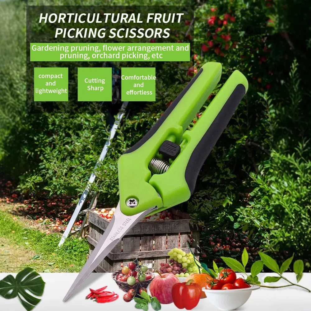 Fruit Picking Pruning Shears Stainless Steel Pointed Tip for Fruit Flower Trimming Compact Labor‑Saving