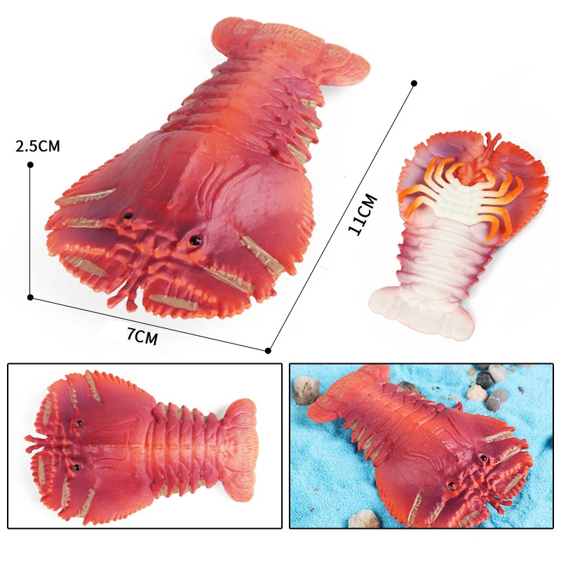 Realistic Marine Animals Fish Pipa Shrimp Sea Dragon Sea Hare Autumn Saury Crab Educational Toy Model  Figures Educational Toys