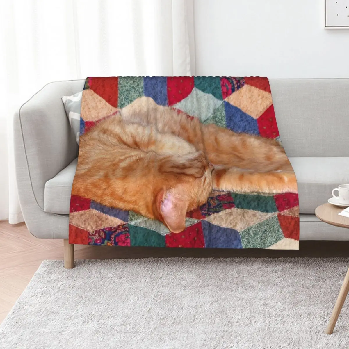 Ginger Cat Napping Throw Blanket Soft Plush Plaid Bed Multi-Purpose for winter wednesday For Sofa Thin Blankets