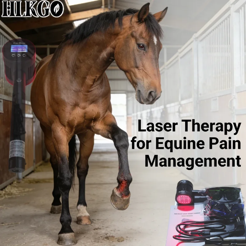 

Передовое лазерное устройство для лошадей, портативное, с аккумулятором 10400 мАч, 650 нм, 808 нм, для лечения артрита, заживления ран и воспалений у лошадей