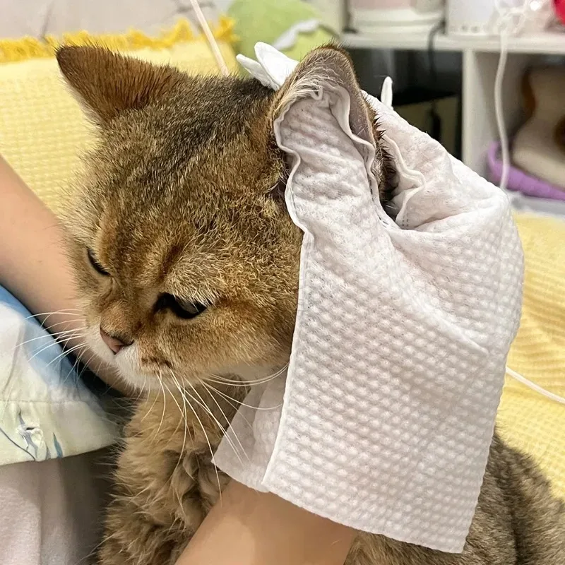 6/12/30pcsCat/Dog Disposable Glove Towels Pet Wash Free Glove No Rinse Washing Gloves Towels Deodorizing Dry Cleaning Wet Towels view 3