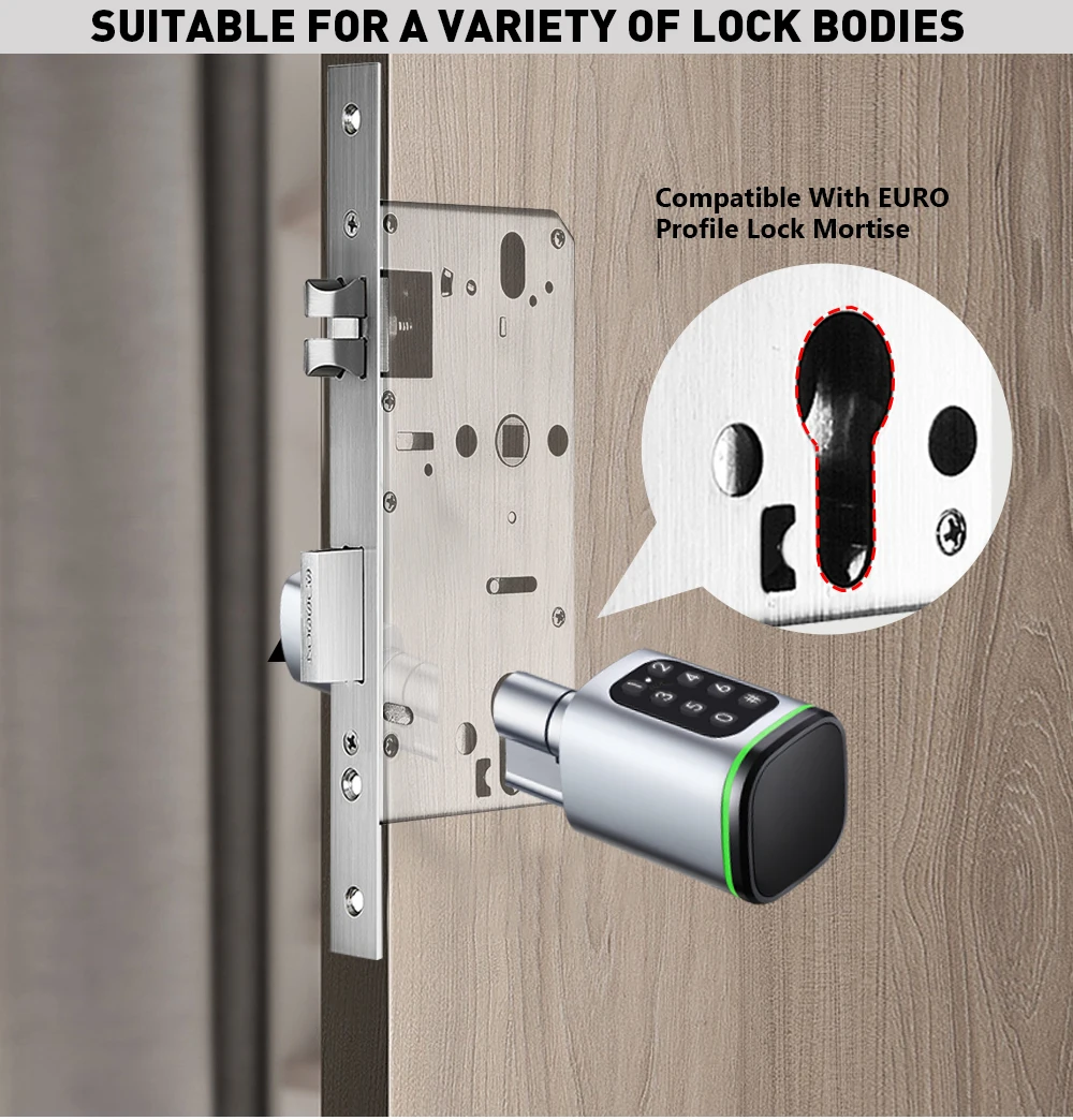 Tuya BLE TTLock Phone APP IC Card Codes Password Equidistant 30-50MM EU Standard Cylinder Digital Electronic Smart Lock with Key