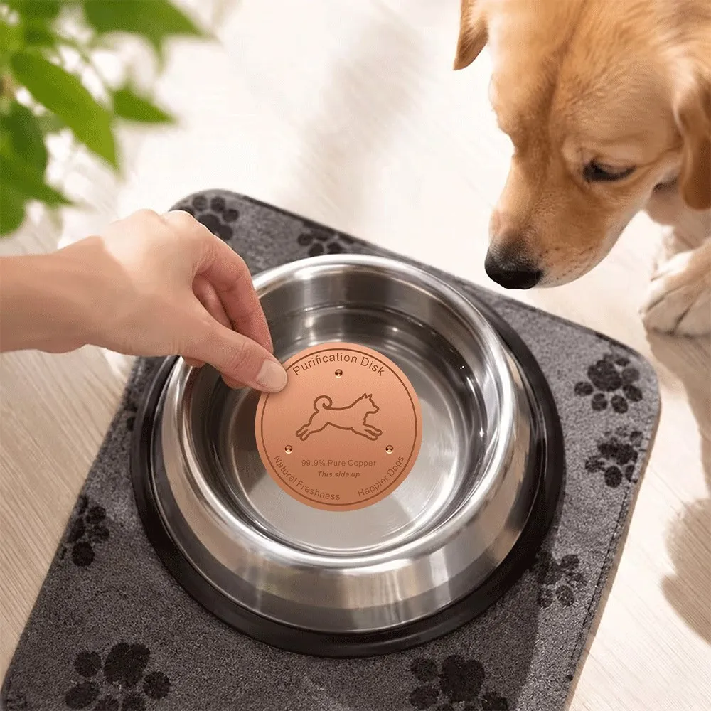 Pure Copper Pet Water Filter Disc 99.9% Purification PlateWhite Ceramic Dog Water Bowl with 99.9% Pure Copper Purification Disk