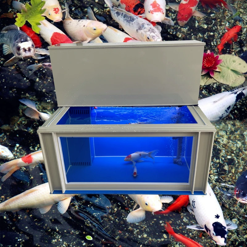 YG-12 Fish Tank Ultra-white Glass Ornamental Fish Pond Upper Filter Sedimentation Belt Dry  Wet Separation Thickened PP Fish Box