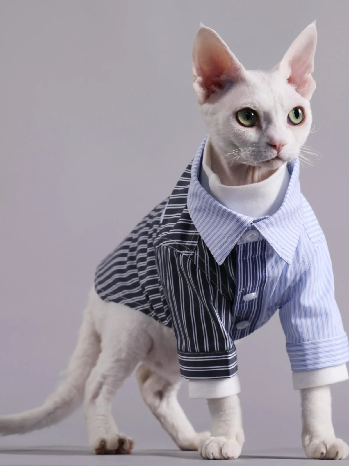 

Street Style Tri-Color Stripe Spliced Pet Shirt for Dogs And Cats Teddy Devon Clothes MQPET Ball Party Pet Apparel