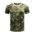 Python Green