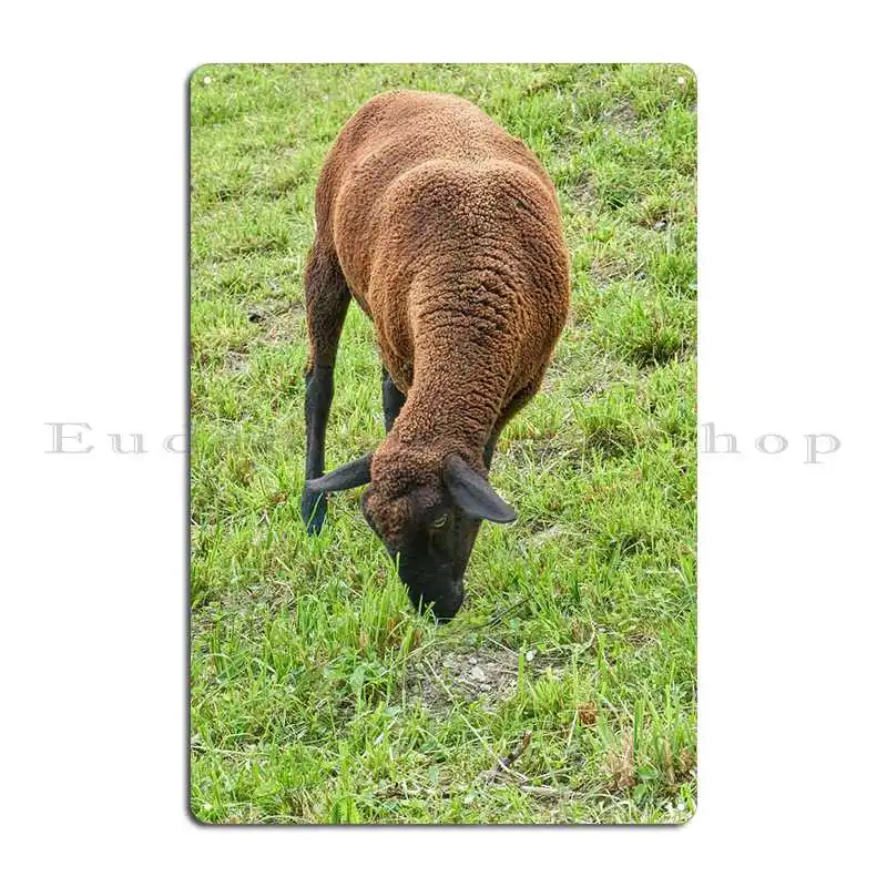 Sheep Grazing Metal Plaque Wall Decor Living Room Bar Designs Cinema Tin Sign Poster